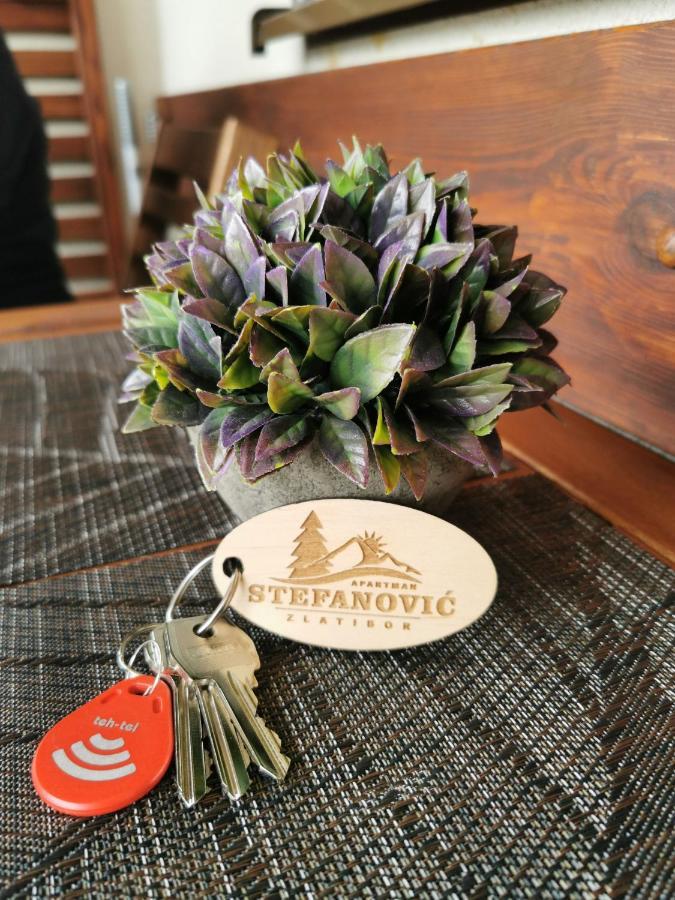 Apartman Stefanovic Vila Darija Lux Zlatibor Extérieur photo
