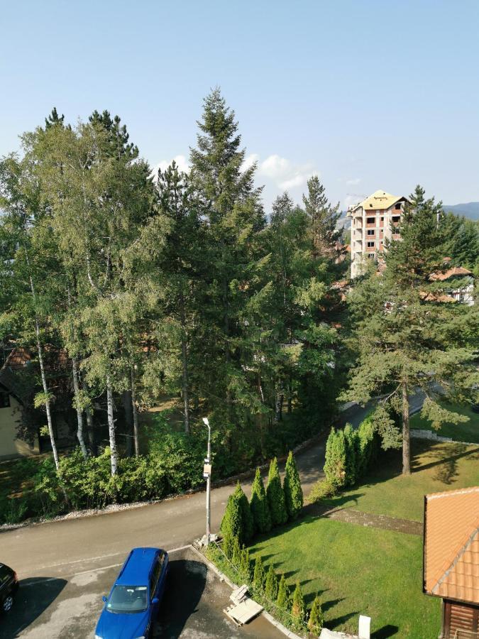 Apartman Stefanovic Vila Darija Lux Zlatibor Extérieur photo